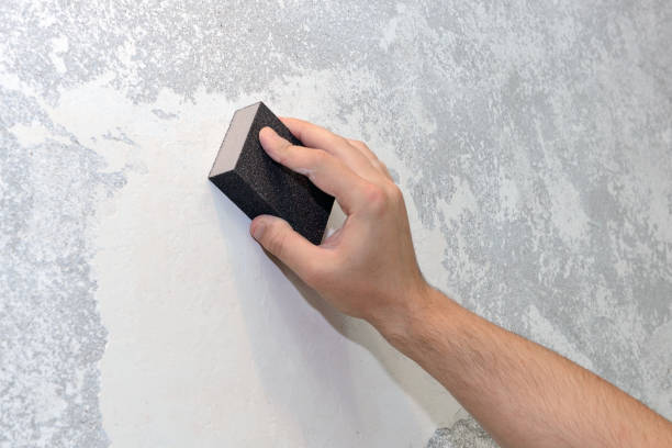Best Industrial Mold Remediation  in Perry, LA