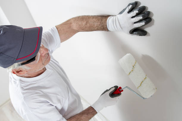 Best Environmental Consulting for Mold Prevention  in Perry, LA