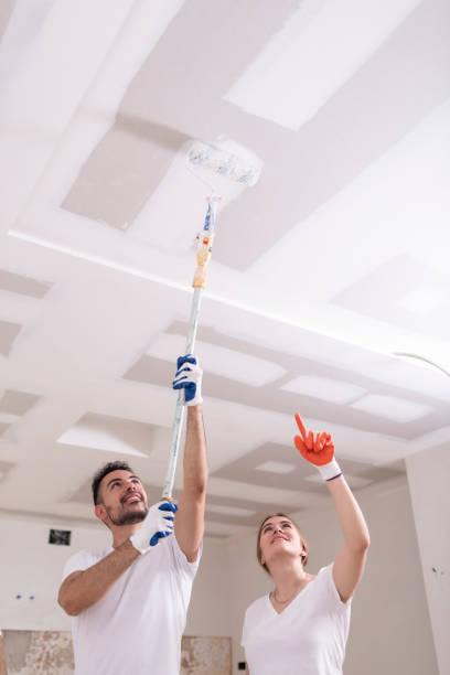 Mold Documentation for Insurance Claims in Perry, LA